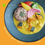 Pumpkin Stew: Made with rice flour, sweet and melting, 5 packs (180gx5), Tokyo, additive-free, gluten-free, packaged stew, Chaya Macrobiotics S71640012